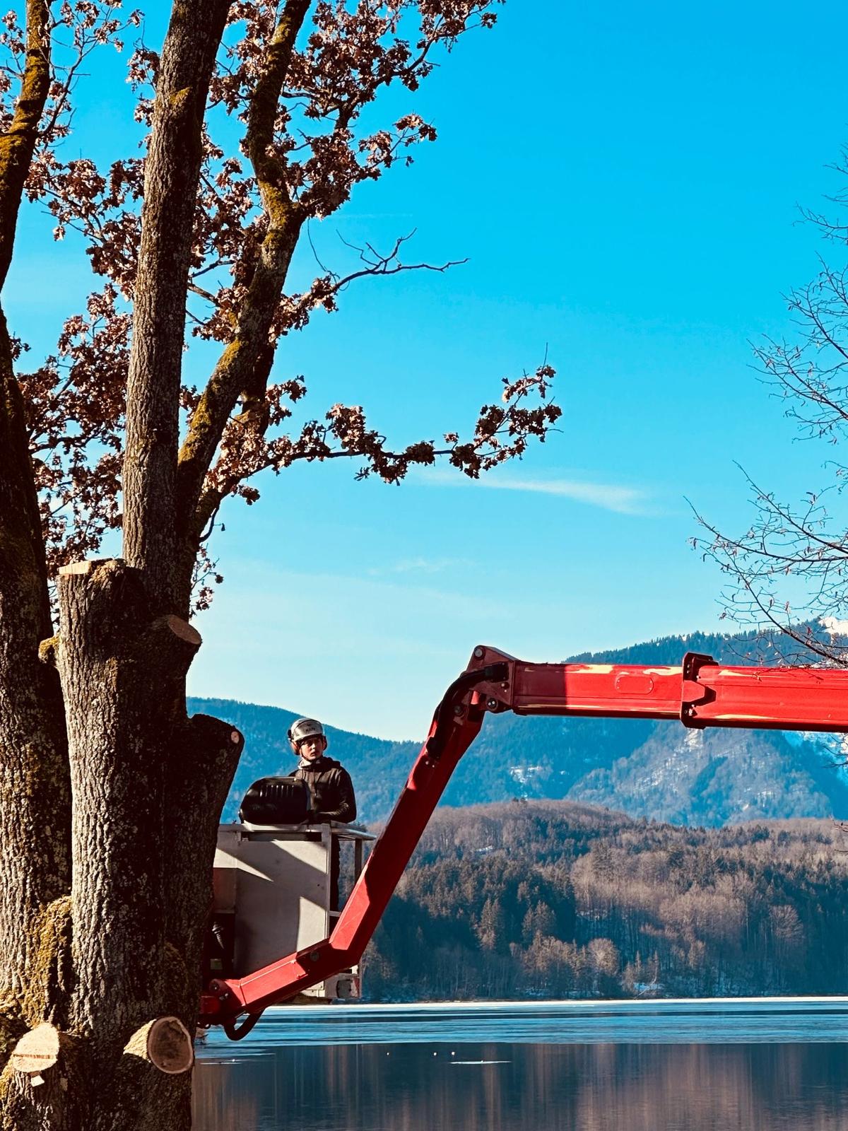 WhatsApp Image 2025-10-11 at 15.02.06 (1)