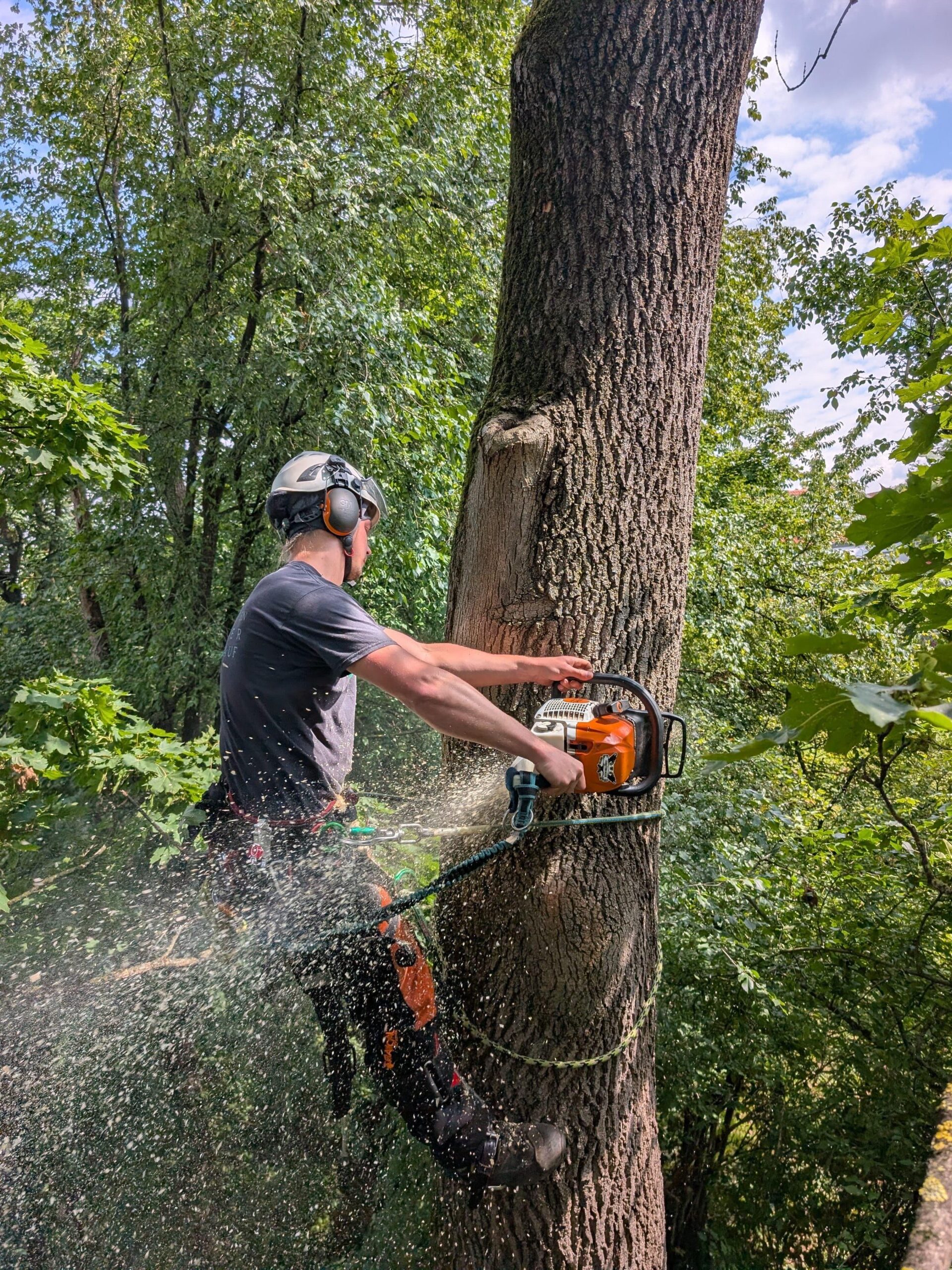 WhatsApp Image 2025-10-11 at 15.49.36 (1)